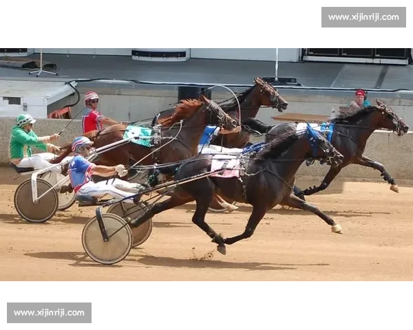 挽马比赛:传承千年的马车竞技与文化魅力探秘 挽马比赛:传承千年的马车竞技与文化魅力探秘