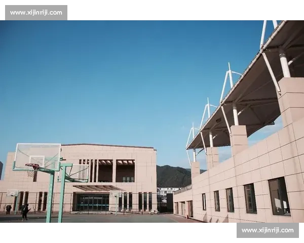 体育职业发展路径与个人成长规划全面指南